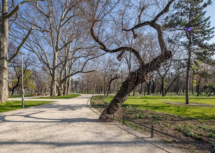 公寓 - Modern - Good Sleep 布达佩斯