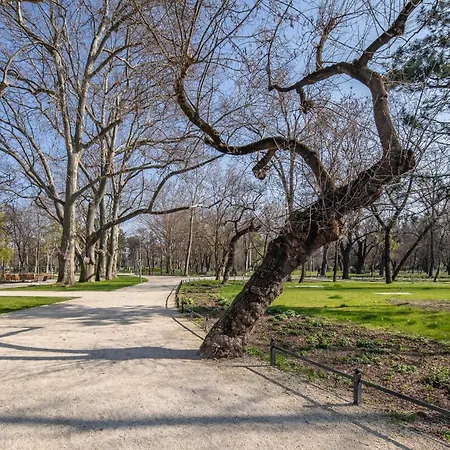 アパート - Modern - Good Sleep ブダペスト